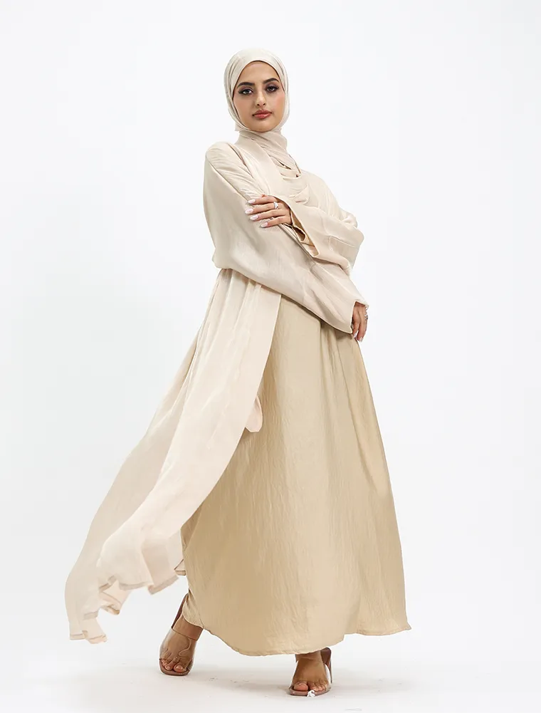 Beige Organza Simple 2 Piece - Image 3