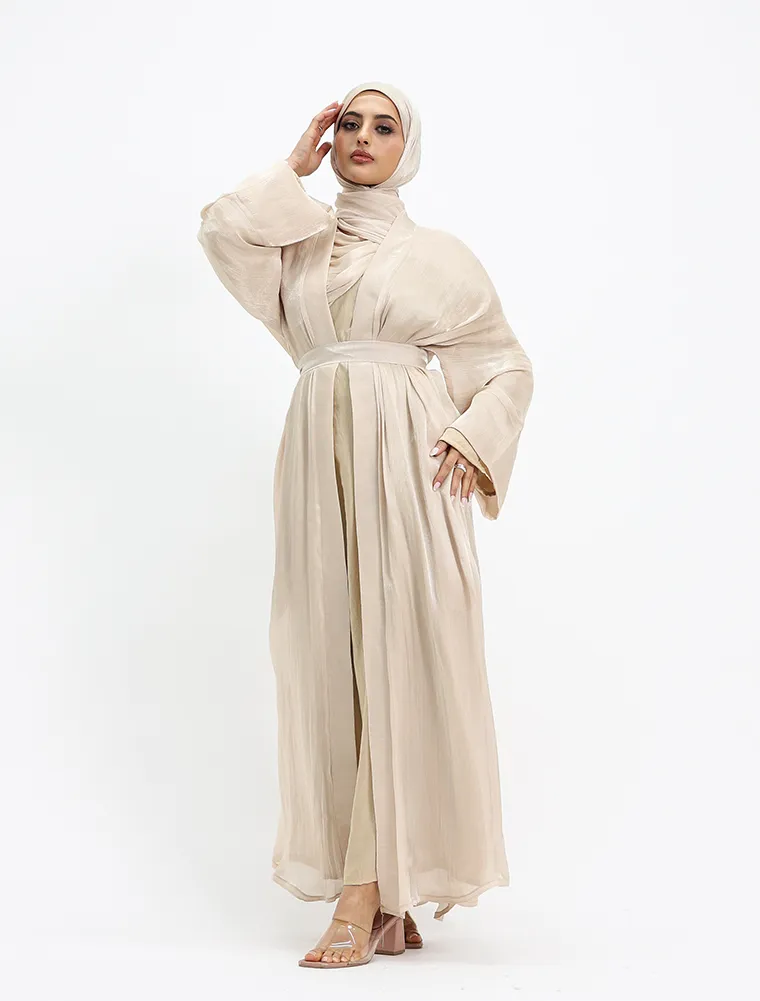 Beige Organza Simple 2 Piece - Image 4