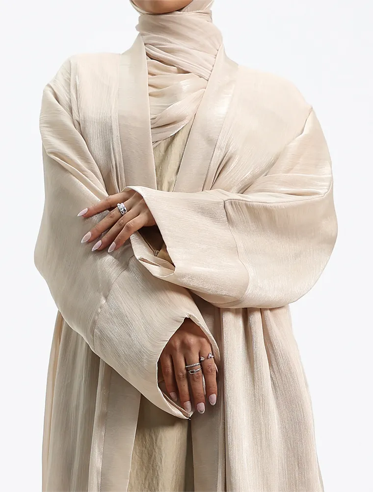 Beige Organza Simple 2 Piece - Image 5